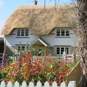Thatched Cottage